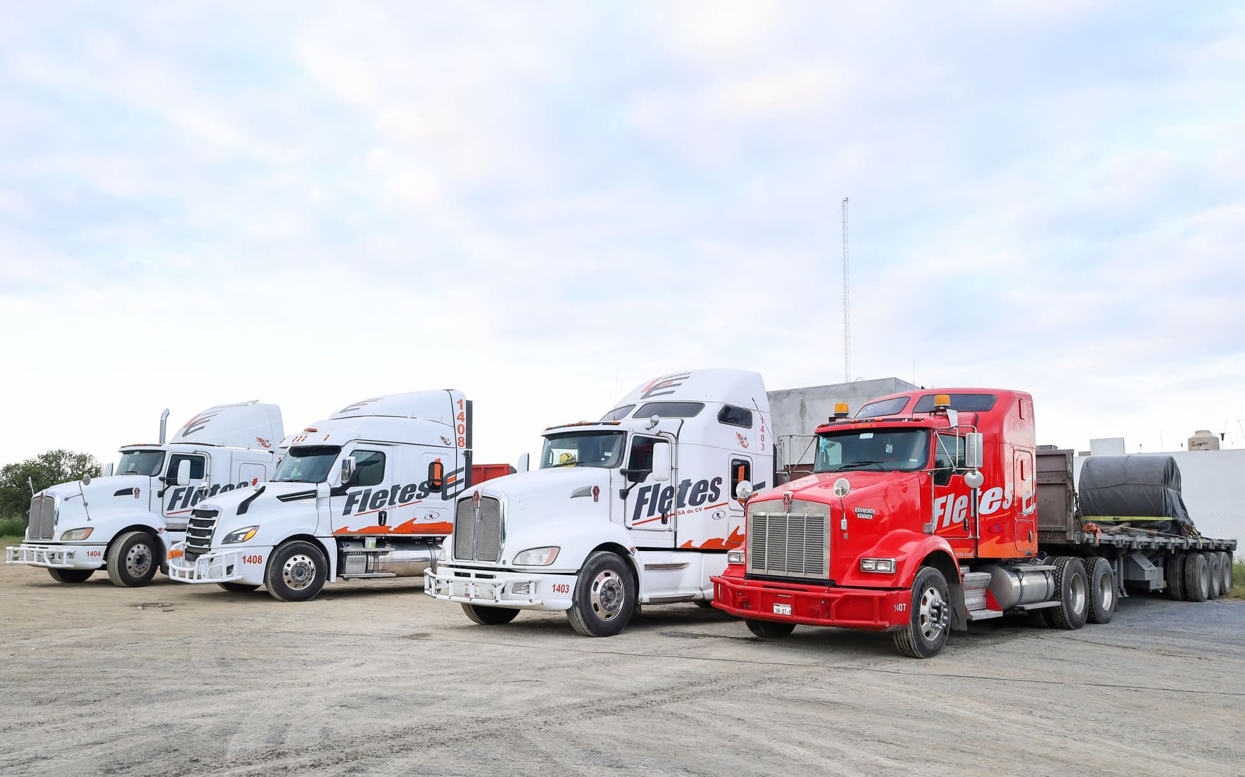 Experiencia y Profesionalismo